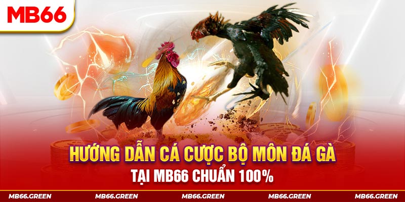 888bet kết quả xổ số miền bắc ngày hôm nay