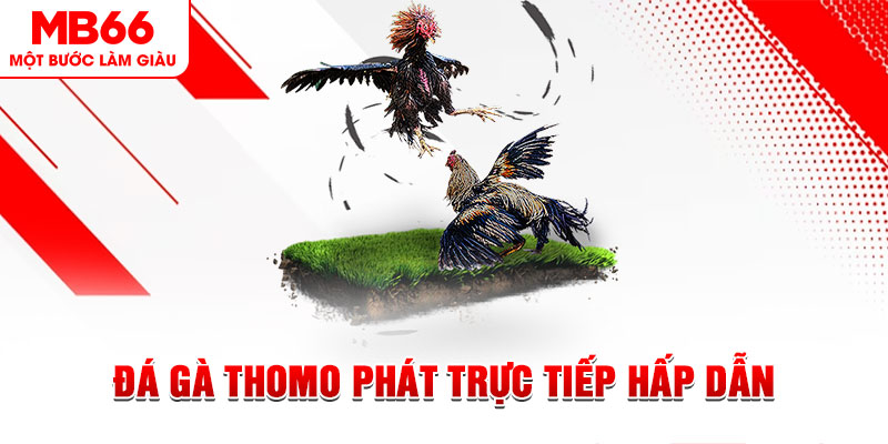 888bet xổ số thứ tư
