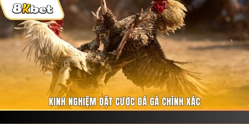 888bet xổ số thứ bảy hàng tuần