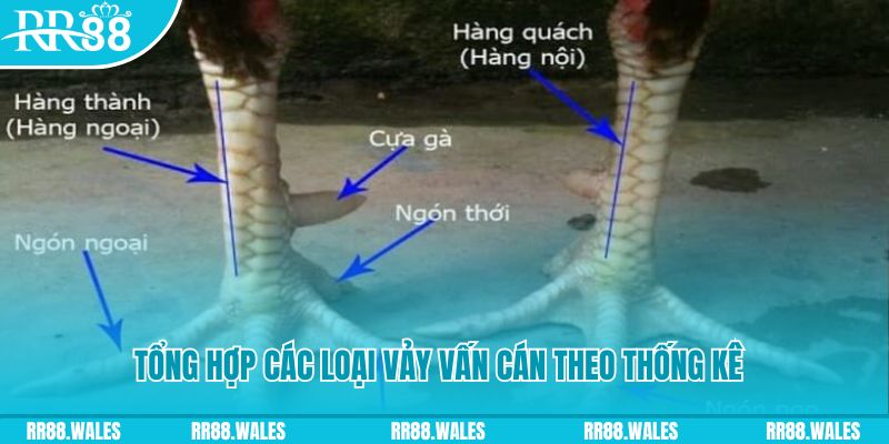 888bet casino hồ tràm có cho người việt vào không