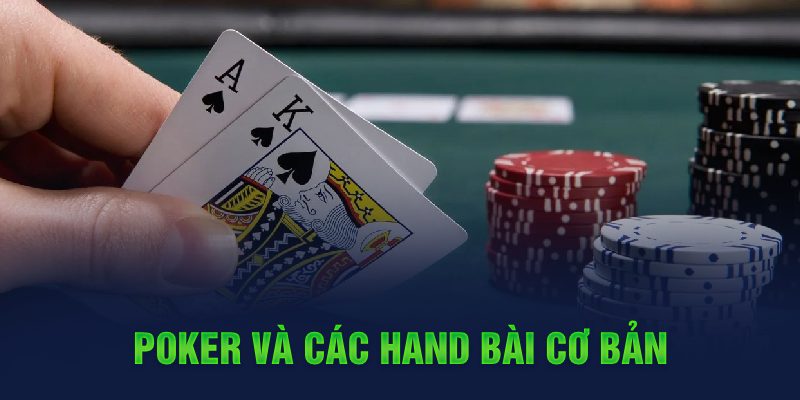 888bet đá gà cựa dao