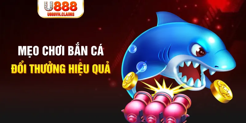 888bet gà chọi cam ranh
