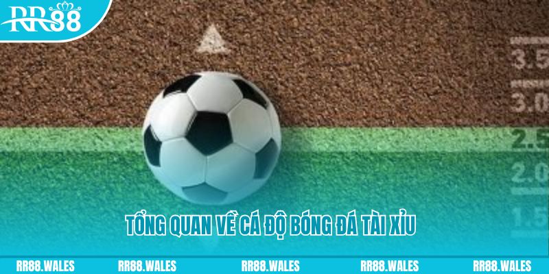 888bet đăng nhập roulette online