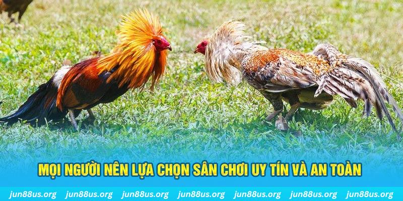 888bet Cỡ bảy