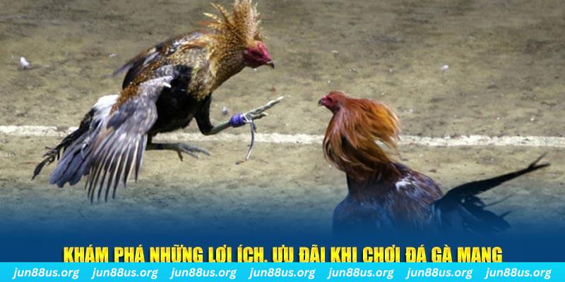 888bet đăng nhập liêng live