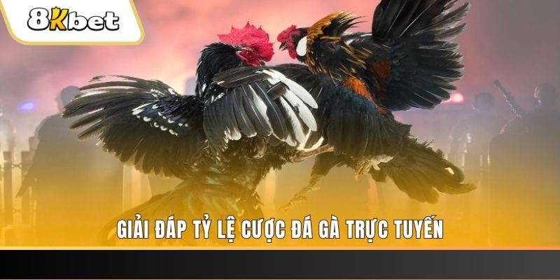 888bet ban ca online