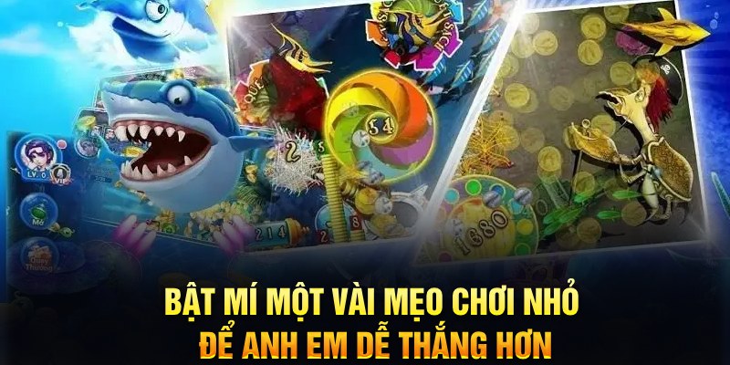 888bet xổ số thứ ba