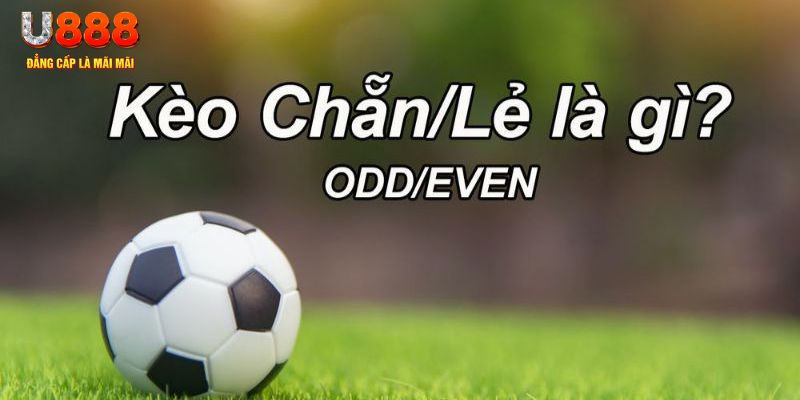 888bet đăng nhập sòng bạc 2024