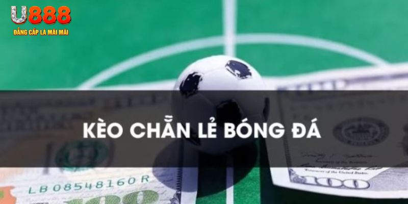 888bet gà chọi c1.tv