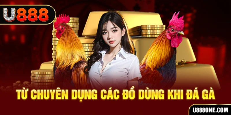 888bet đá gà trực tiếp campuchia